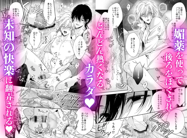 ご主人様の堕とし方~転生した悪役令息は溺愛騎士の執着から逃げられない~